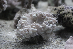 Killikus&reg; Fotographie